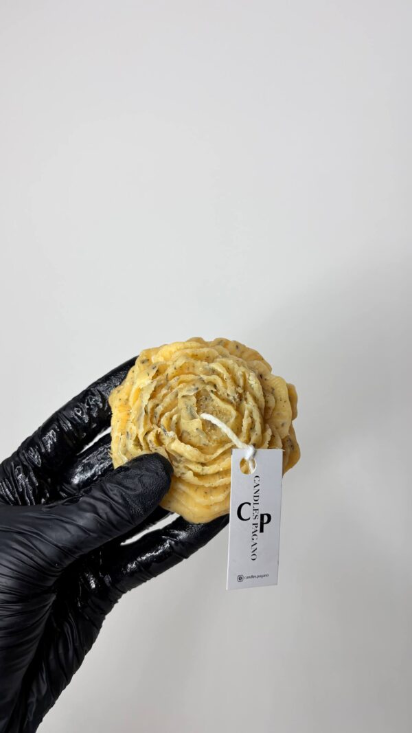 6021582782679075445 GHEEonia